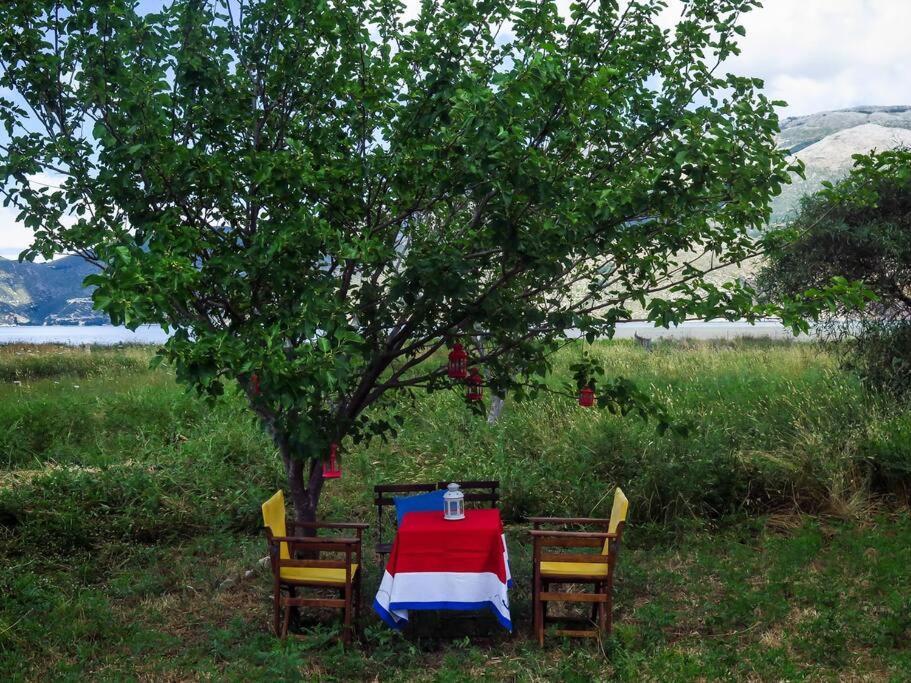 Villa Rania: Ευάερη Βίλα Με Θέα Τη Θάλασσα リクスリオン エクステリア 写真