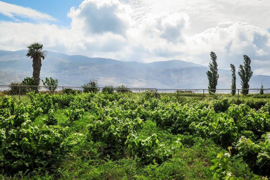 Villa Rania: Ευάερη Βίλα Με Θέα Τη Θάλασσα リクスリオン エクステリア 写真