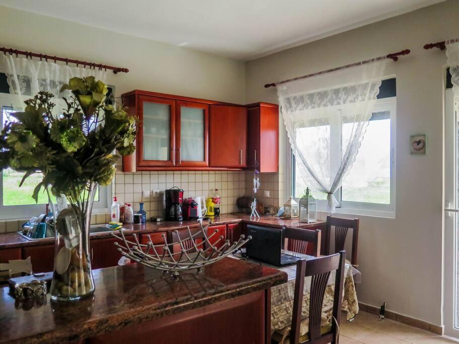 Villa Rania: Ευάερη Βίλα Με Θέα Τη Θάλασσα リクスリオン エクステリア 写真